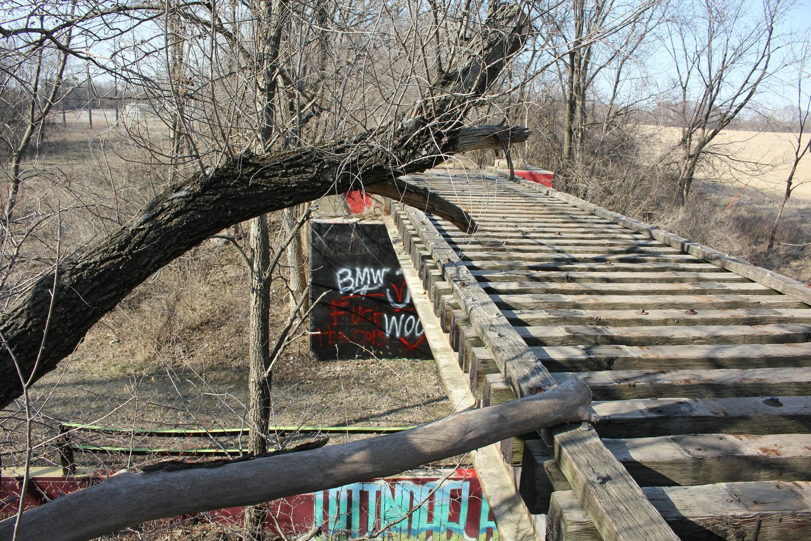 Looking north